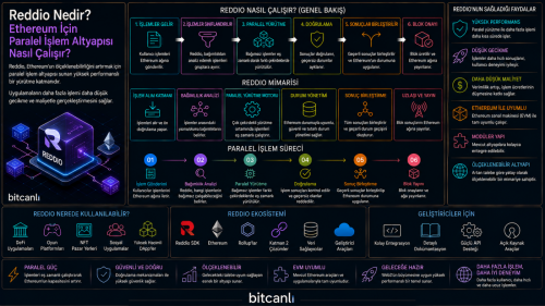 Reddio Nedir? Ethereum İçin Paralel İşlem Altyapısı Nasıl Çalışır?